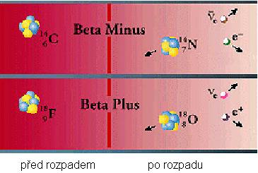 Radioaktivní přeměna Druhy radioaktivní přeměny Přeměna b je izobarická transmutace, při které vznikají vedle b částic i