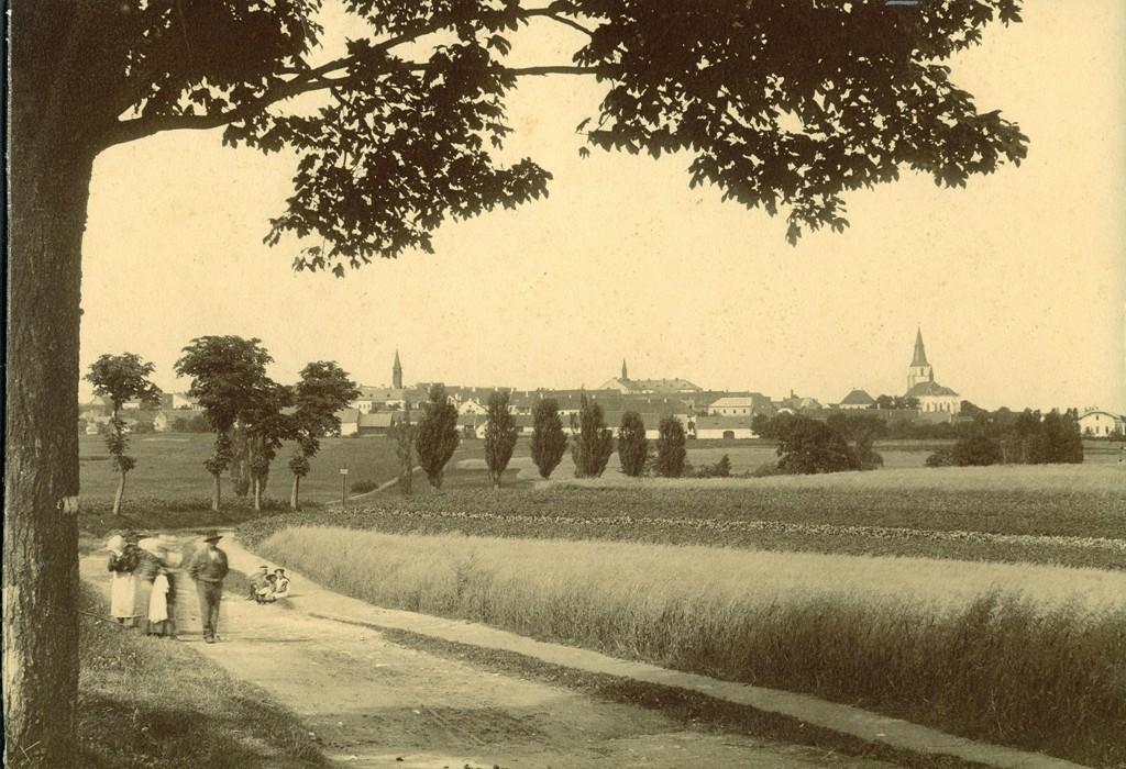 19. století Zásadní vliv na stukturu a vývoj krajiny měly tzv. systémové změny v zemědělství, zejm.