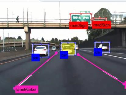 ultrasound Visualization annotation, bird