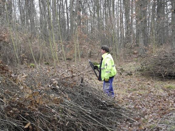 19: Vystříhávání náletových dřevin Ostatní Technické služby zajišťují i další činnosti, které však nelze zařadit do výše uvedených kategorií. Mezi poměrně časté práce patří např.