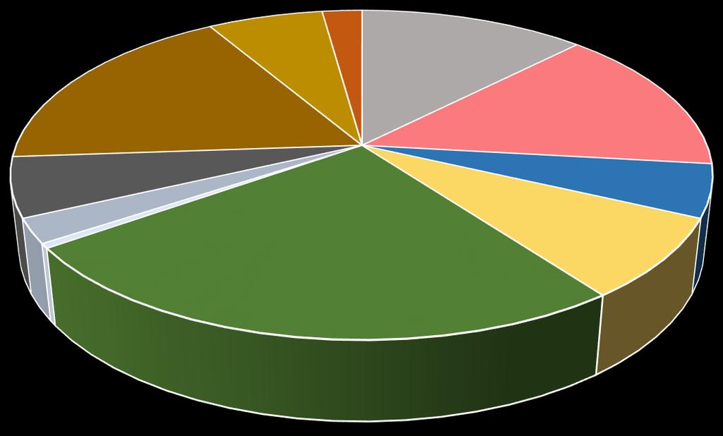 Ze statistických údajů (Graf 1), které jsou na TSÚ vedeny v měsíčních přehledech, vyplývá, že nejvíce času (25 %) je věnováno údržbě veřejné zeleně.