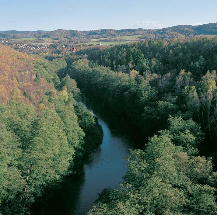PlzeÀsko a Karlovarsko GEOLOGIE eka Ohfie protéká v úseku mezi obcí Královské Pofiíãí a obcí Staré Sedlo asi 40 45 m hlubok m údolím kaàonovitého typu s nev raznou fiíãní nivou.