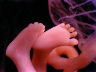 Prenatální dítě aktivní a vnímavé součást plánů matky = TY ne TO probíhá neustálý