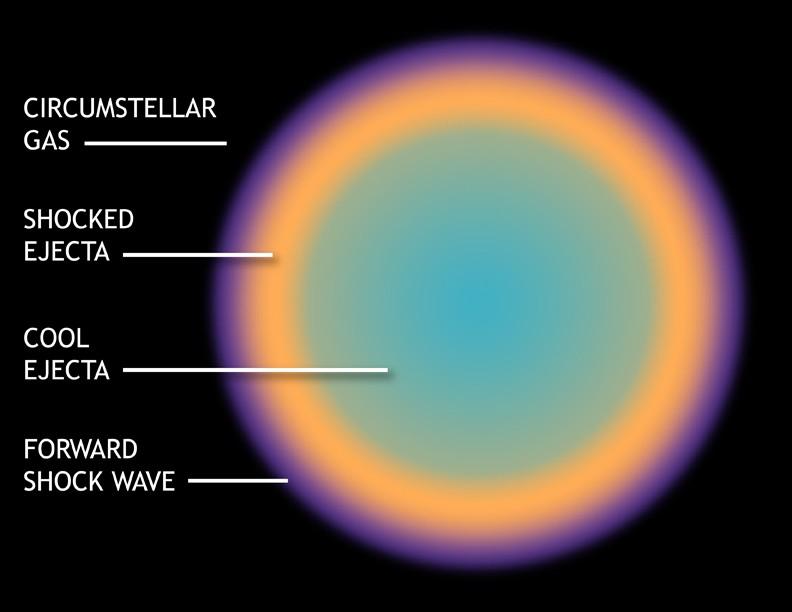 Rázová vlna supernovy Rázová vlna Vyvržený materiál strhává mezihvězdný plyn Tvorba