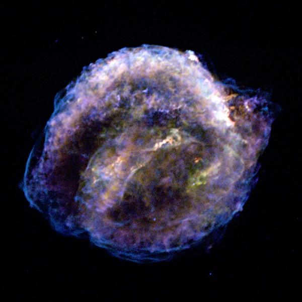 Kepler supernova