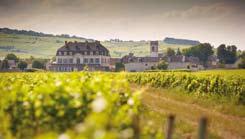 2019 11 490 Kč Navštivte 3 vinařské regiony Francie a prohlubte si znalosti o víně přímo ve sklepech nezávislých vinařů Ochutnávejte, srovnávejte a hodnoťte s námi jejich typická vína a regionální
