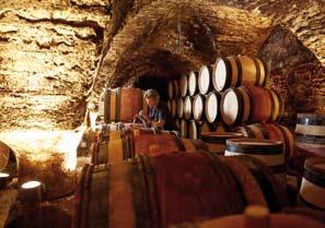 den BURGUNDSKO Po snídani navštívíme nejznámější terroir Burgundska, Clos de Vougeot a jeho zámek, kde podle pověsti mniši ochutnávali hlínu, aby vybrali ty nejlepší parcely pro své vinice.