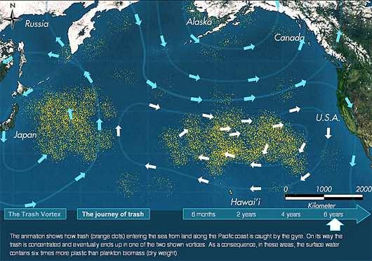 Znečišťování moří plasty plasty jako nenápadný zabiják každoročně příčina smrti milionů mořských ptáků a cca 100 000 mořských savců North Pacific Garbage Gyre http://www.midwayfilm.