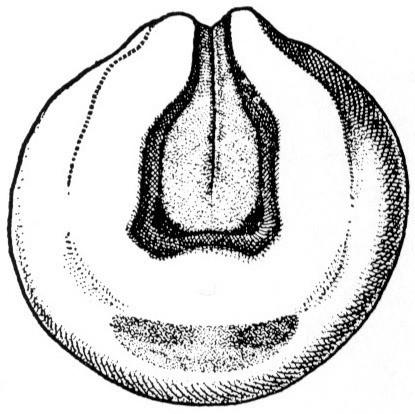 & Keller, 1999; Morita et al., 2012).