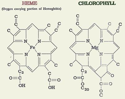 Autofluorescence Chemická struktura fluoroforů: aromatické sloučeniny s