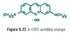 Chemická struktura fluorescenčních sloučenin: -