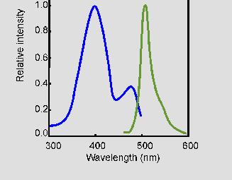 GFP Excitační a emisní spektrum