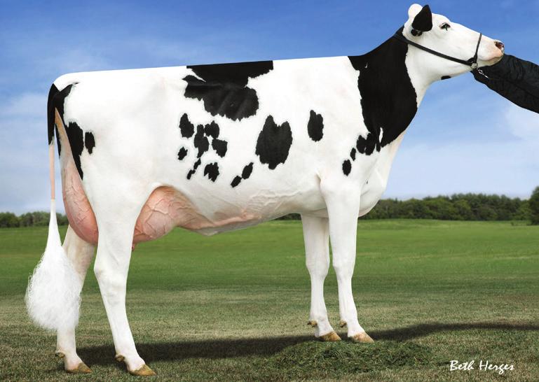 OBSERVER x RAMOS Cogent Supershot 755893 Dg Candide 54849 +87 /8 +84 kg 8 kg +.