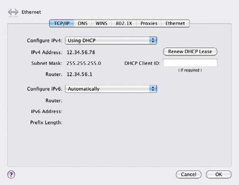 zvolena položka USING DHCP.