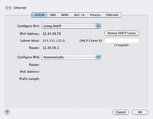 zvolena položka USING DHCP.