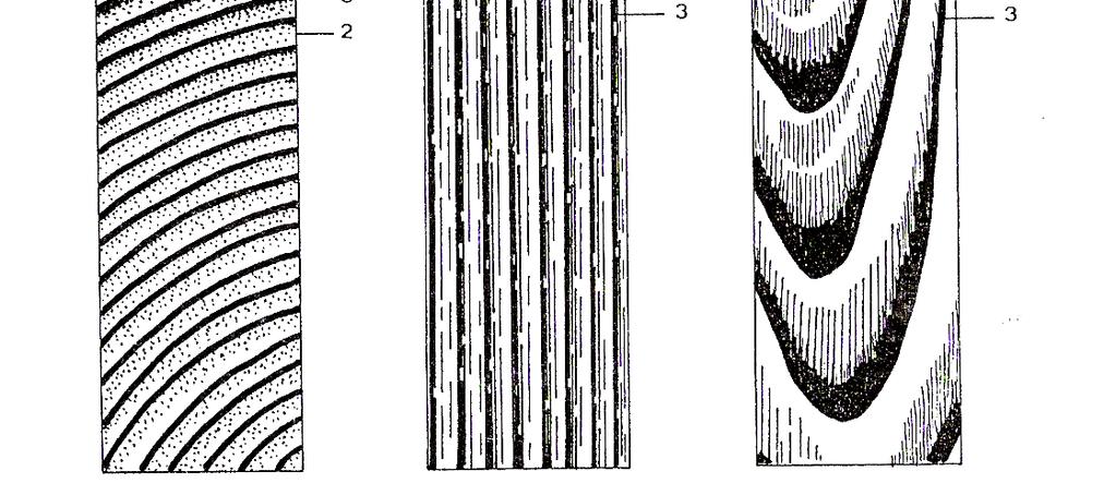 husté pásy probíhající kolo na letokruhy, na radiálním zřetelná zrcadla, na tangenciálním 1-5 mm vysoké svislé tmavší pásky (Šlezingerová, Gandelová, 2004).