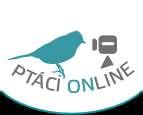 se slovenskými školáky prostřednictvím Twinspace a oceněný národní cenou Quality Label Ptáci online projekt přímého pozorování jarního hnízdění ptactva z chytré ptačí budky zavěšené na túji