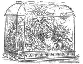 vyrobil Nathaniel Ward v roce 1834 Obr.
