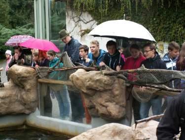 ročníku a žáci 3. EK SOŠ zúčastnili prohlídky Zoologické zahrady v Jihlavě u příležitosti Dne zvířat.