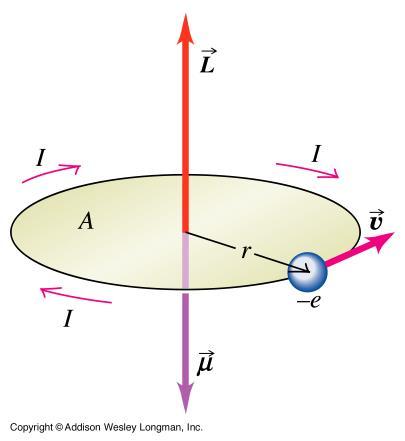 Pokud rotační pohyb vykonává nabitá částice, pak vytváří magnetický moment Pro elektron s nábojem e na kruhové dráze o poloměru r a dobou oběhu T klasicky dostaneme μ = IS = e T πr2 = e 2πr rm 2m e e