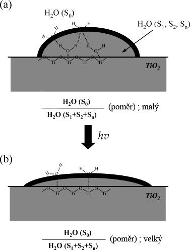 (a) H 2 O (S 0 ) H 2 O (S 1, S 2, S n ) (b) S0 (S + S 1 2 + S n ) hν (poměr); malý S0 (S + S 1 2 + S n ) (poměr); velký Obr.