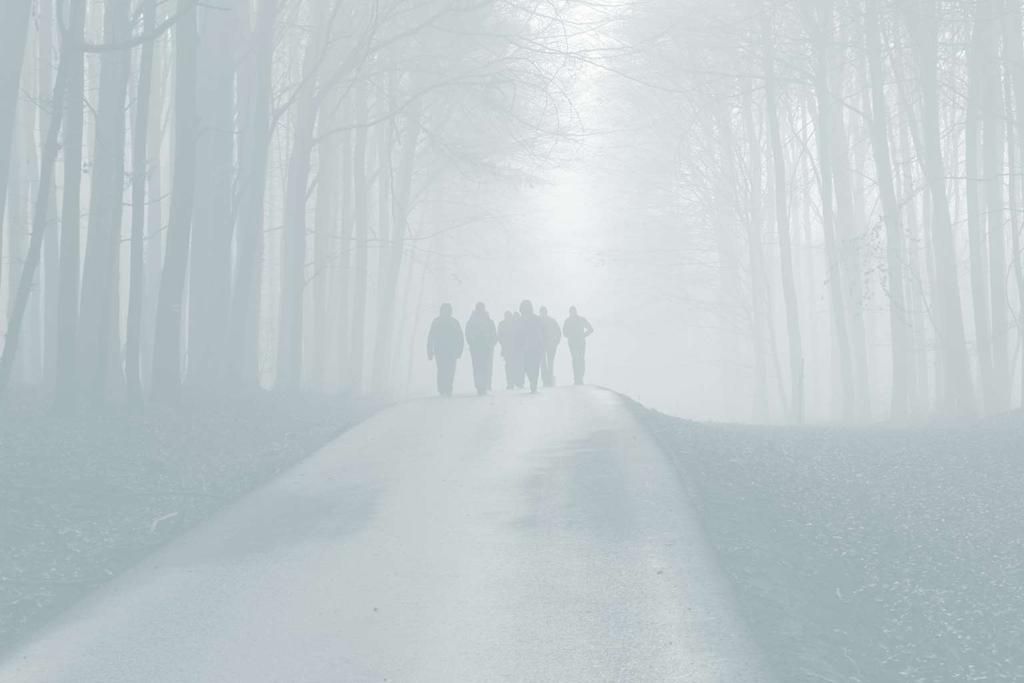 TRADIČNÍ ŠTĚPÁNSKÝ POCHOD 26. 12. - start v 7.05 h od čp. 46, délka: 18 km - - startovné: 25 Kč do 14. 12., 50 Kč do 21.