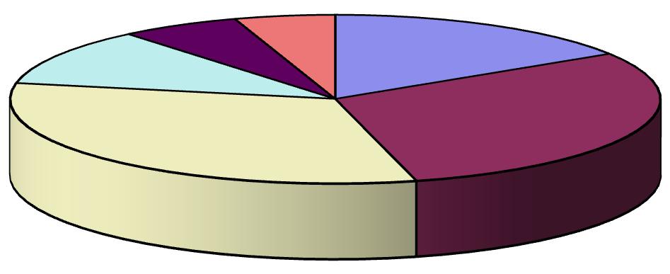 Holba 5% Plzeň 6% 0 0 do 8) <8 28) <28 38) <38 48) <48 58) <58 a více Staropramen 32% Starobrno 30%