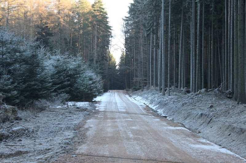 Bylo zrekonstruováno a rozšířeno přes 2,1 km lesních cest, které jsou nově zařazeny do kategorie LC2.