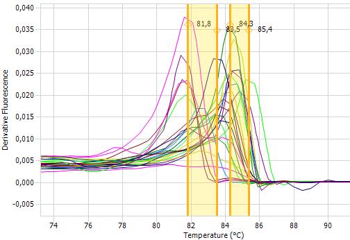 5.4.1 qpcr-hrm analýza s primery P1V1/P2V1 U každého vzorku byla provedena qpcr-hrm analýza s primery P1V1/P2V1 [40], použitý program qpcr je uveden v Tabulce 12, program pro HRMA je uveden v Tabulce