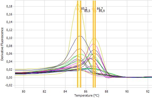 5.4.2 qpcr-hrm analýza s primery UPF/UPR U každého vzorku byla provedena qpcr-hrm analýza s primery UPF/UPR [41], použitý program qpcr je uveden v Tabulce 12, program pro HRMA je uveden v Tabulce 14