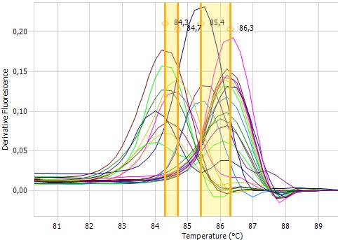 5.4.4 qpcr-hrm analýza s primery V3F/V3R U každého vzorku byla provedena qpcr-hrm analýza s primery V3F/V3R [43], použitý program qpcr je uveden v Tabulce 13, program pro HRMA je uveden v Tabulce 14