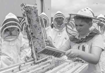 Slánská radnice č. 7, červenec / srpen 2015 Znáte svého včelaře? Vidět moc nejsou, o to víc je jejich práce důležitá a užitečná. O koho jde? No přece o včely.