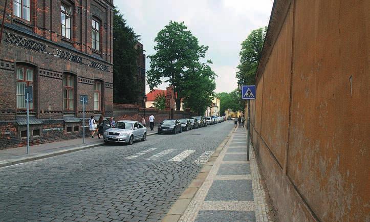 Na povrchu rhizoidu je vidět modře obarvené, hyfovým pláštěm obalené apresorium sloužící k přichycení houby k hostiteli.