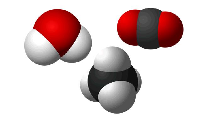 Postupné redukce/oxidace uhlíku (při přeměně anorganického uhlíku na organický) CO 2