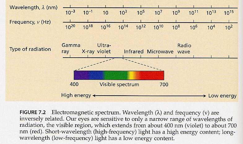 Sluneční záření Ultrafialové (UV, < 400 nm) Fotosynteticky