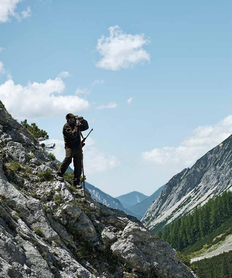 PŘEHLED
