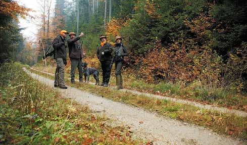 NAHÁŇKA NAHÁŇKA PŘEPÍNÁNÍ MEZI ADRENALINEM A SOUSTŘEDĚNÍM Začátek se vyznačuje zavádějícím tichem. Jak je známo, očekávání přináší největší radost.