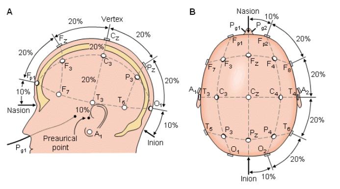 Obr. 3.1: Mezinárodní systém zapojení elektrod "10/20". [25] 3.2 Režimy zapojení Pro snímání EEG lze použít několik režimů zapojení elektrod.