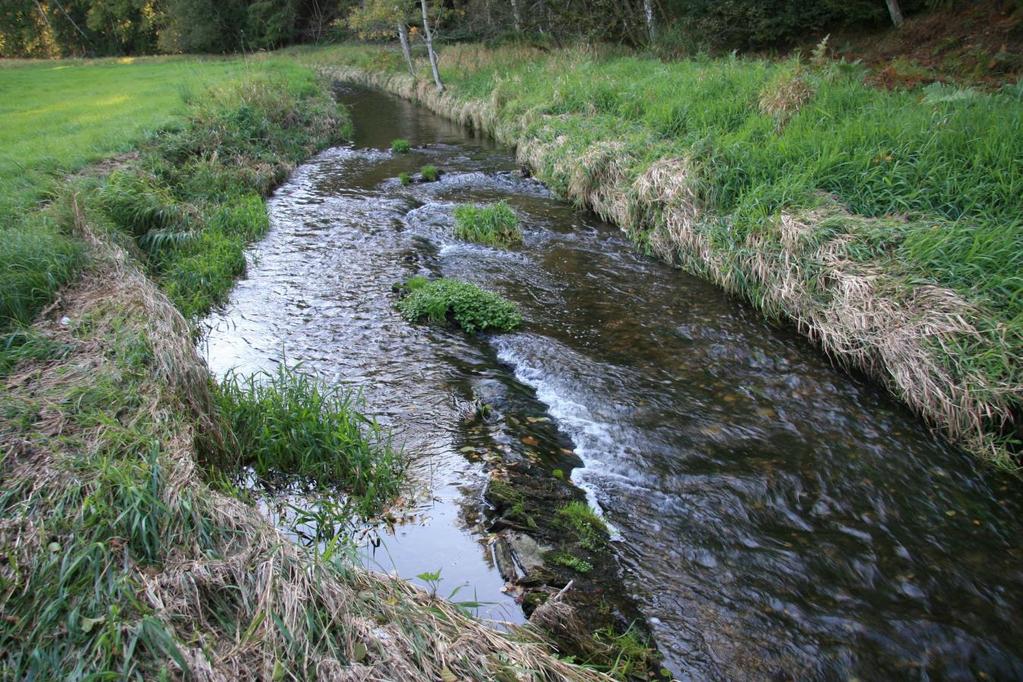 a jeho nivy, zvýšení stanovištní a druhové pestrosti území, zpomalení