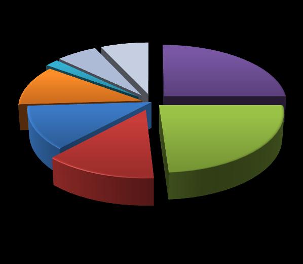 Percentuelní využití služeb dle cílových skupin klientů 36% 13% ženy