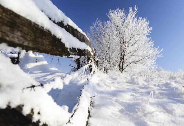 titulní list Krásné a spokojené Vánoce, mnoho štěstí, zdraví, v novém roce 2019 pf 2019 vnitřní list kód: PF29 barevnost: 4/4 dvoulist (přední strana je