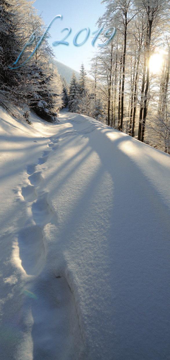 Spokojené prožití vánočních svátků a úspěšné