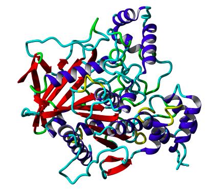 Obr. č. 4 3D struktura AChE z parejnoka kalifornského [32] 1.4.2.2 Funkce acetylcholinesterázy Jak již bylo řečeno, neurotransmiter ACh přenáší signál z nervových buněk do svalových.