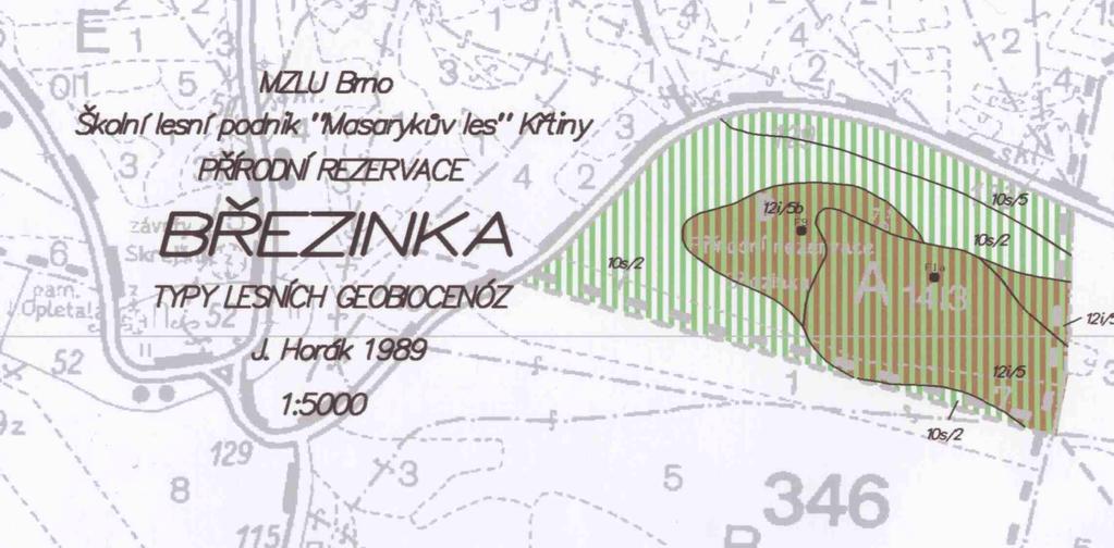 Bučiny s dubem Lipojavorové bučiny s dubem P. Jelínek a M. Čech. Přírodní rezervace Březinka. Starý porost s bukem na škrapech.