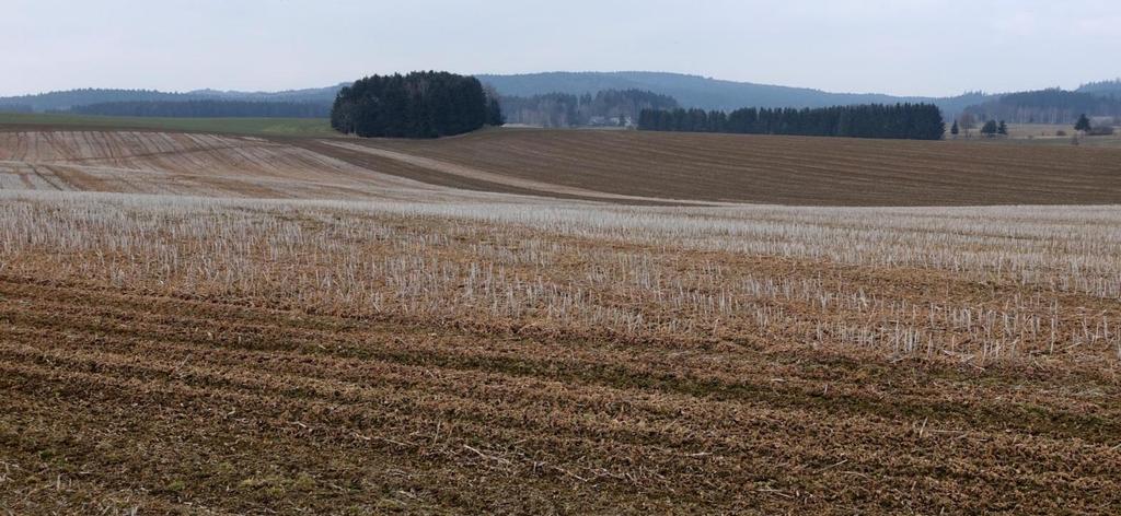 Možnosti řešení Půdoochranné technologie (setí do mulče, strip-till, ponechání vegetace na polích, atd.