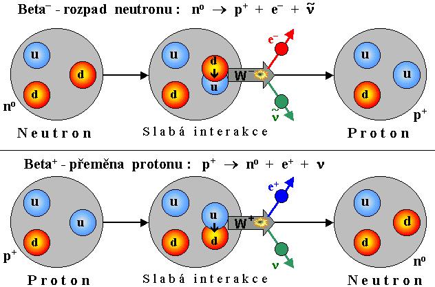 Přeměny β (negatronová, pozitronová, elektronový záchyt) Tento typ přeměny je spojen se změnou kvarkového