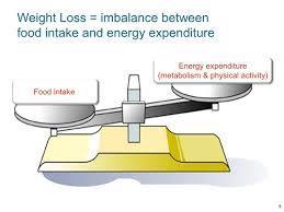 Etiopatogeneze obezity Nepoměr mezi příjmem ( ) a výdejem ( ) energie Genetika - 40 70% regulace příjmu energie, výdeje energie schopnost oxidace substrátů regulace na úrovni hypothalamu > 40%