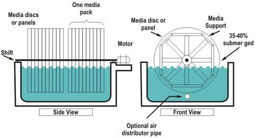 Rotating Biological