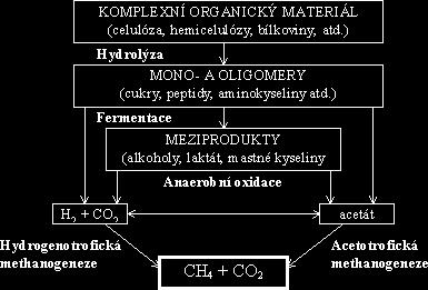 metanogenní mikroorganismy - striktně anaerobní prostředí,