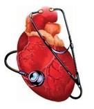 Myokard (srdeční sval) Permanentní kontraktilní aktivita zajišťující